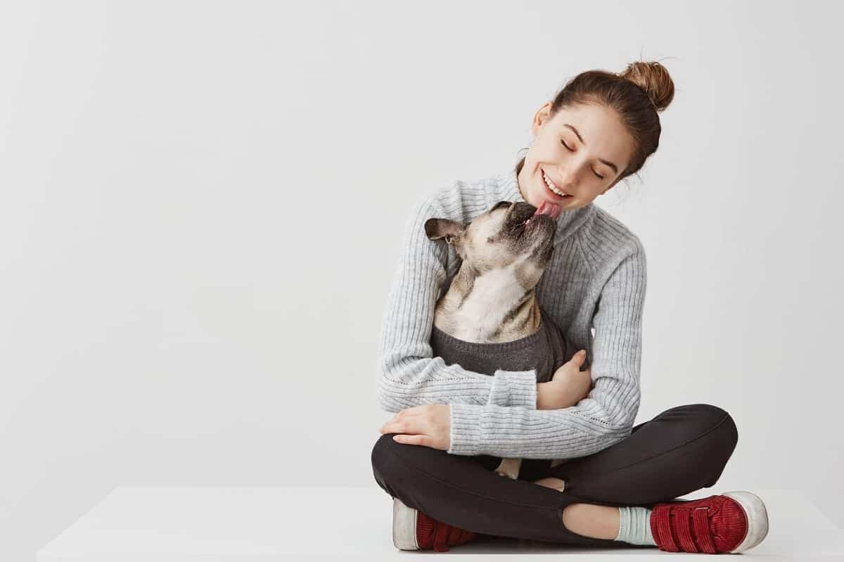 Conheça os modelos mais elegantes e confortáveis de roupas para cachorro